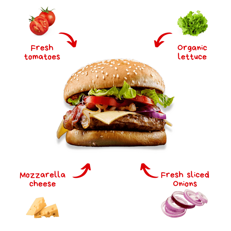 Bring Burger Paaji Franchise in your city